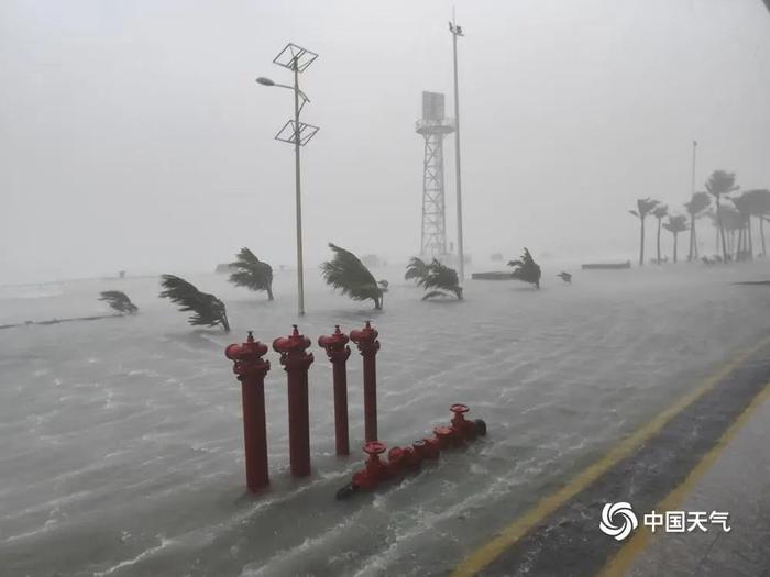 江门市天气(江门市天气穿什么合适)