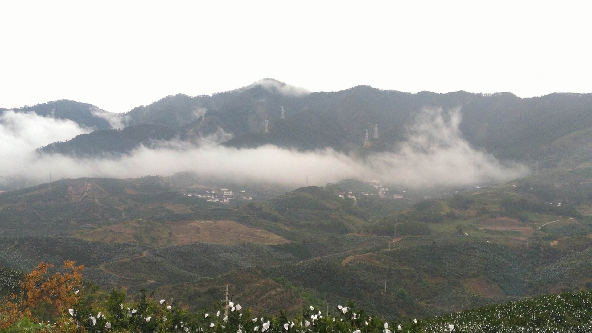 会理县天气(会理县天气预报详情)