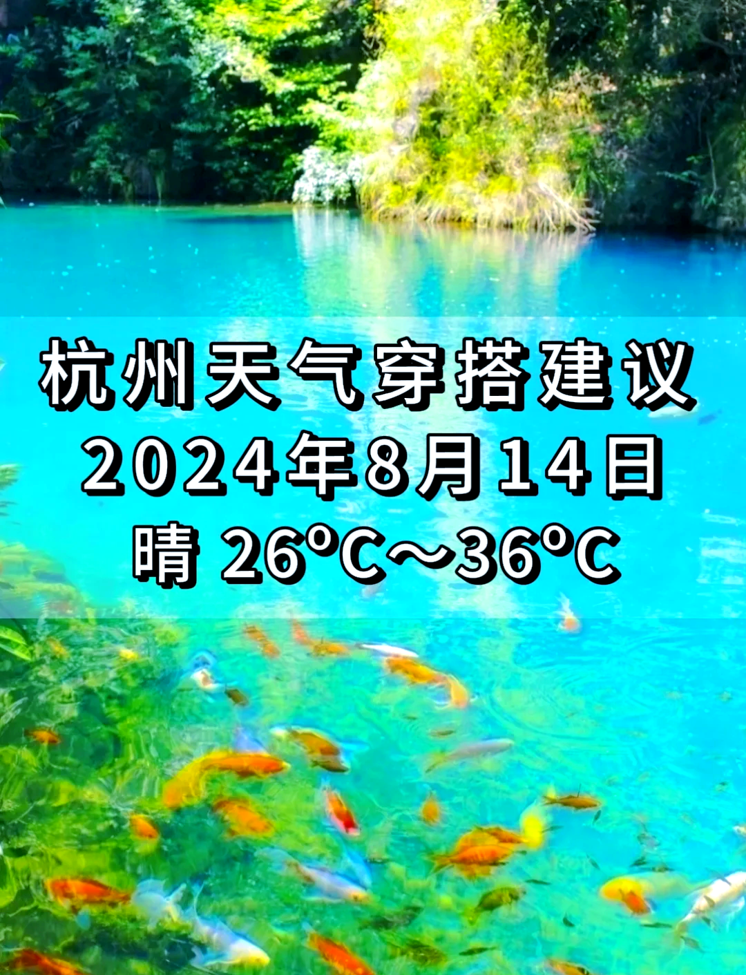 杭州一周天气预报(杭州一周天气预报七天)