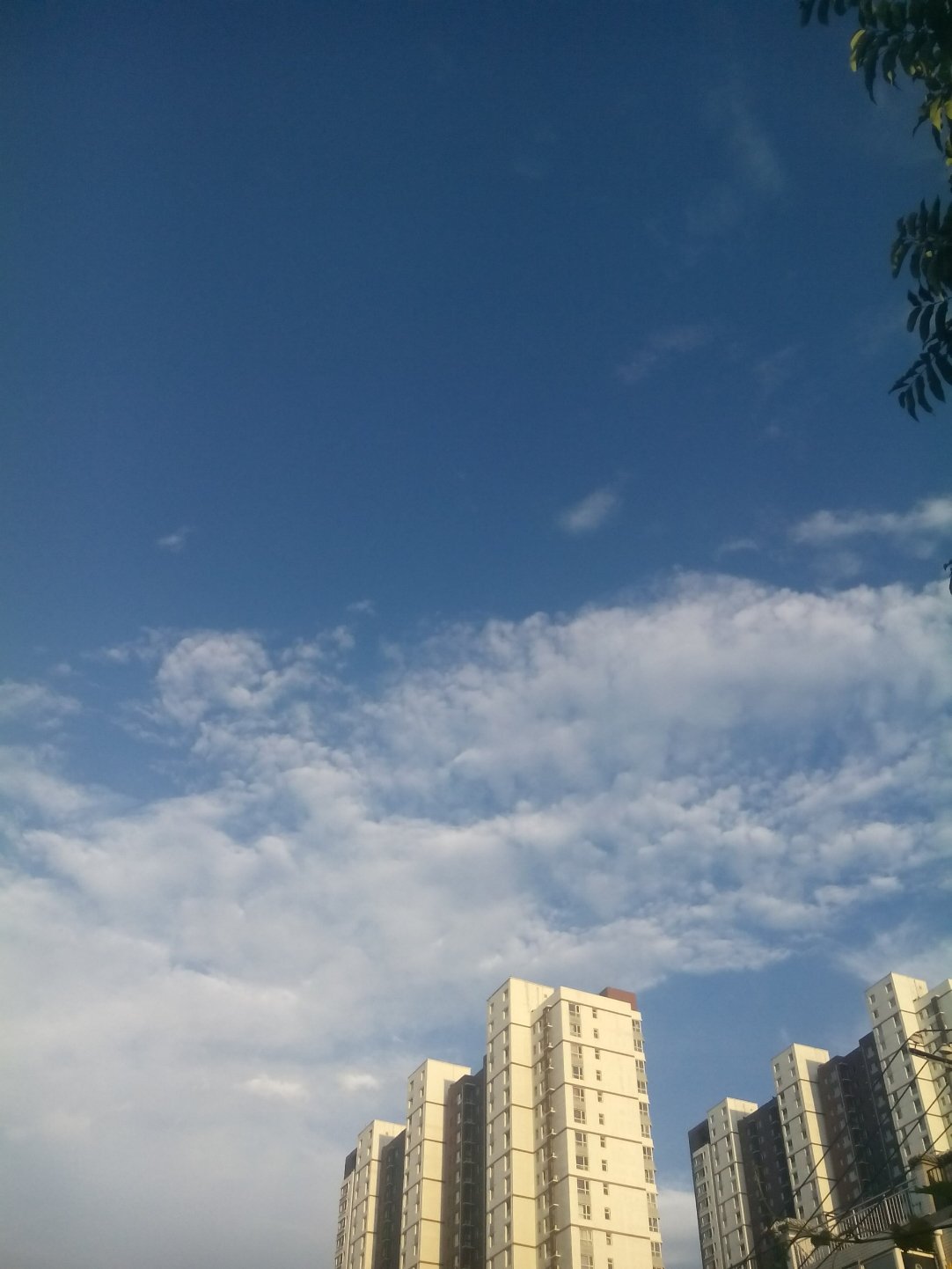 河北省保定市天气(河北省保定市天气预报今天夜间)