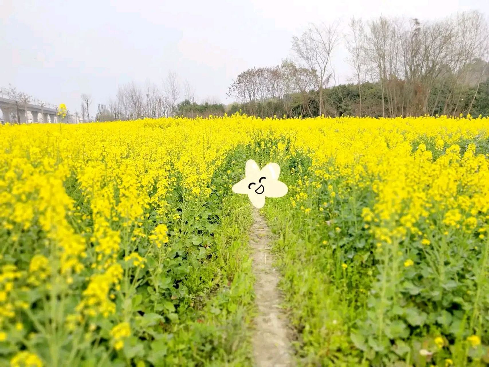 黄水镇天气(黄水镇天气预报30天)