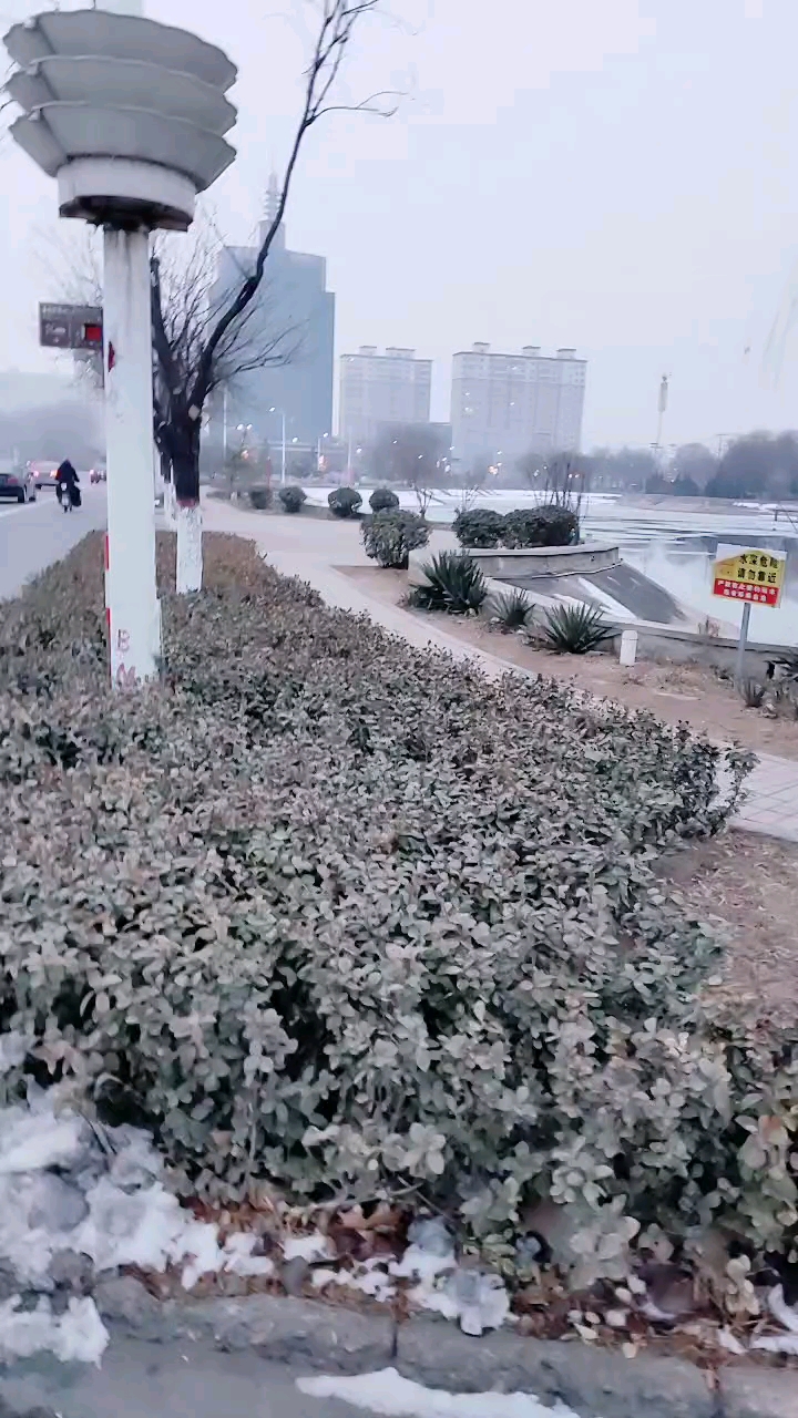 冀州天气(冀州天气40天)