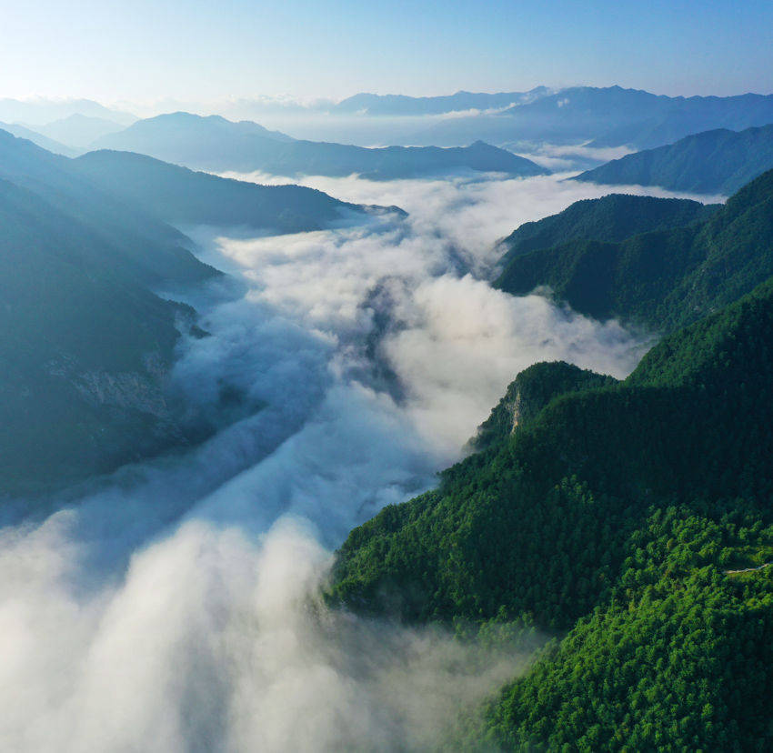 康县(康县属于哪个市)