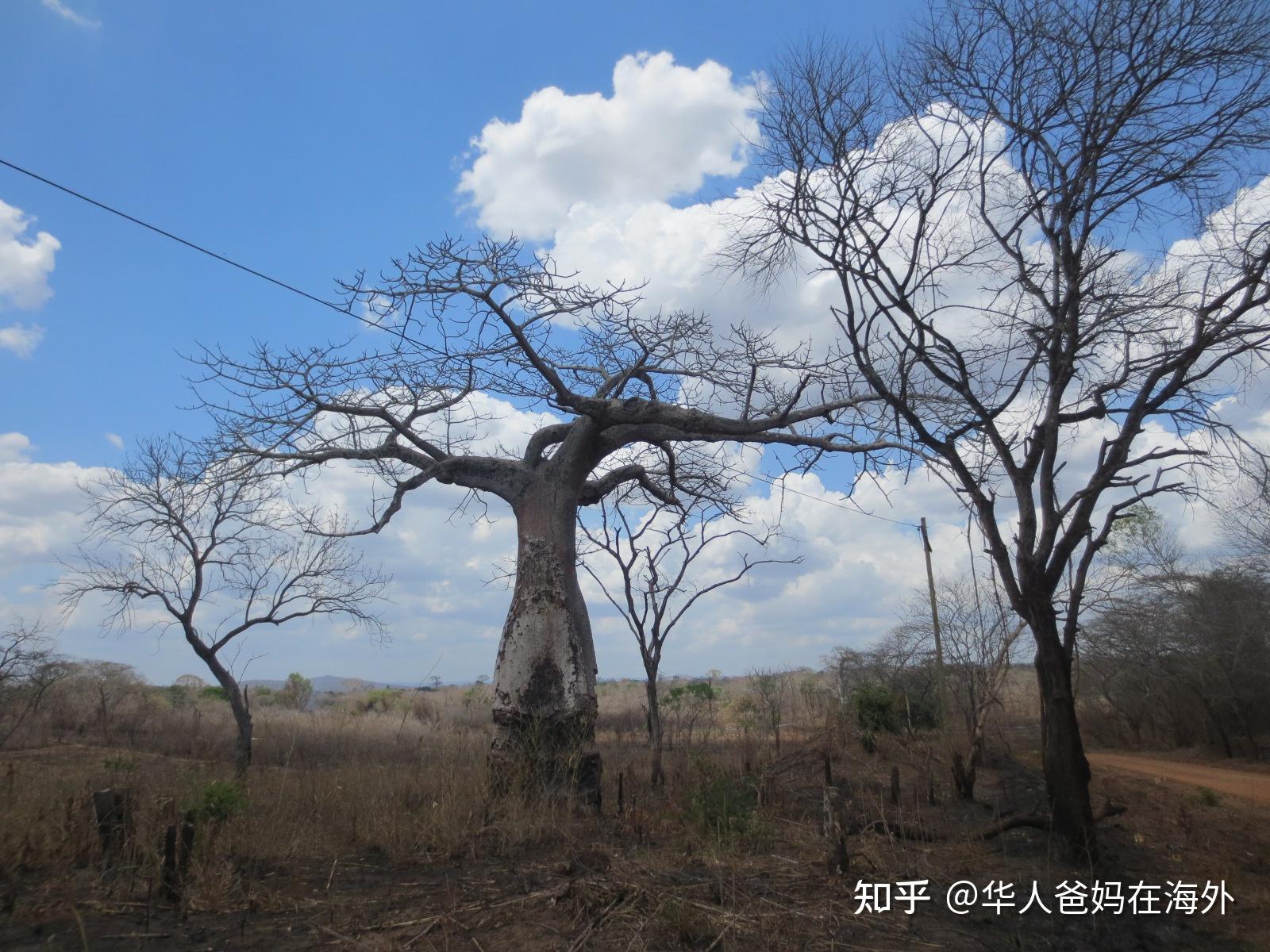 莫桑比克天气(莫桑比克天气一年四季怎么样)
