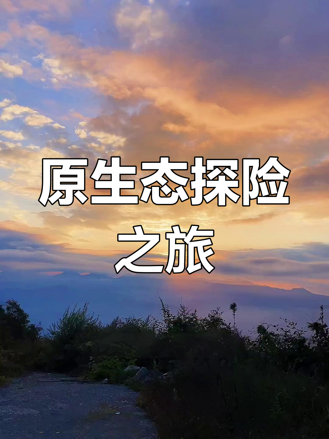宝兴(宝兴县人民政府)
