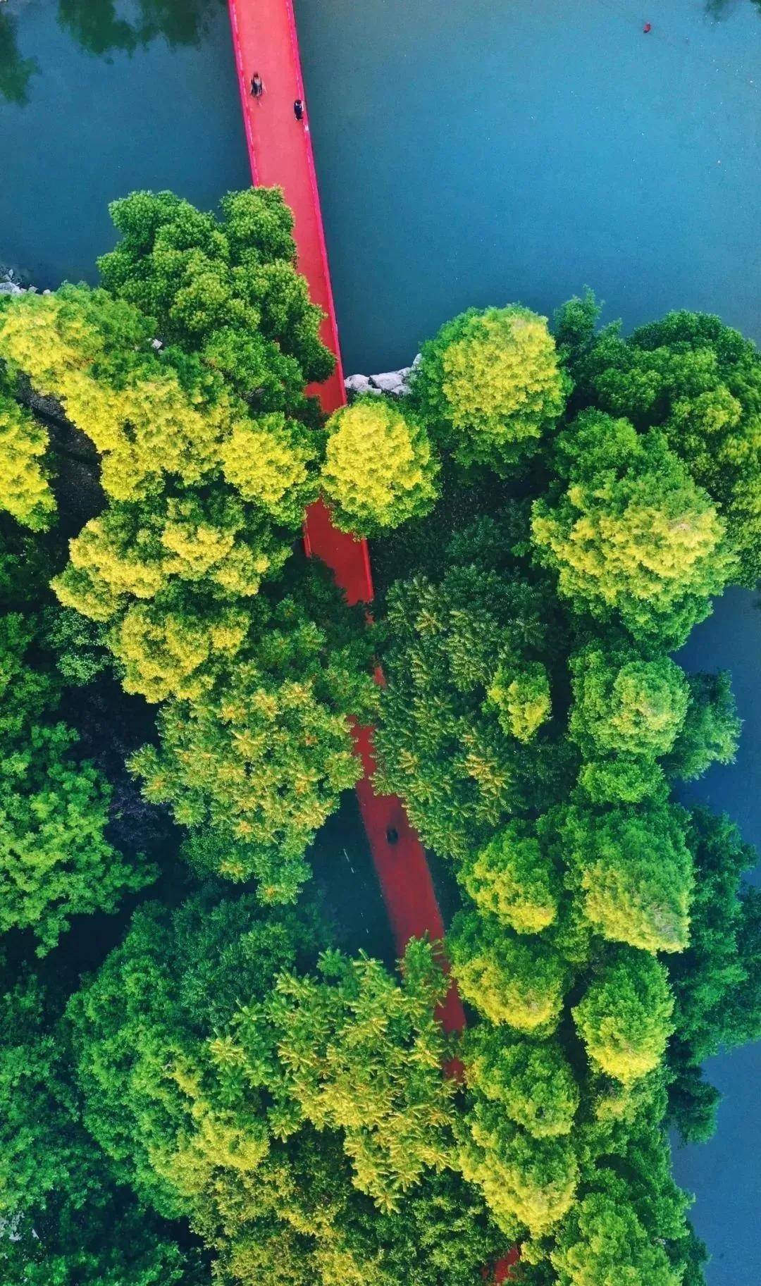 嘉善天气(嘉善天气预报15天准确一览表)