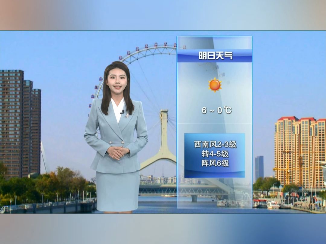 天津天气预报10天(天津天气预报10天天气预报)