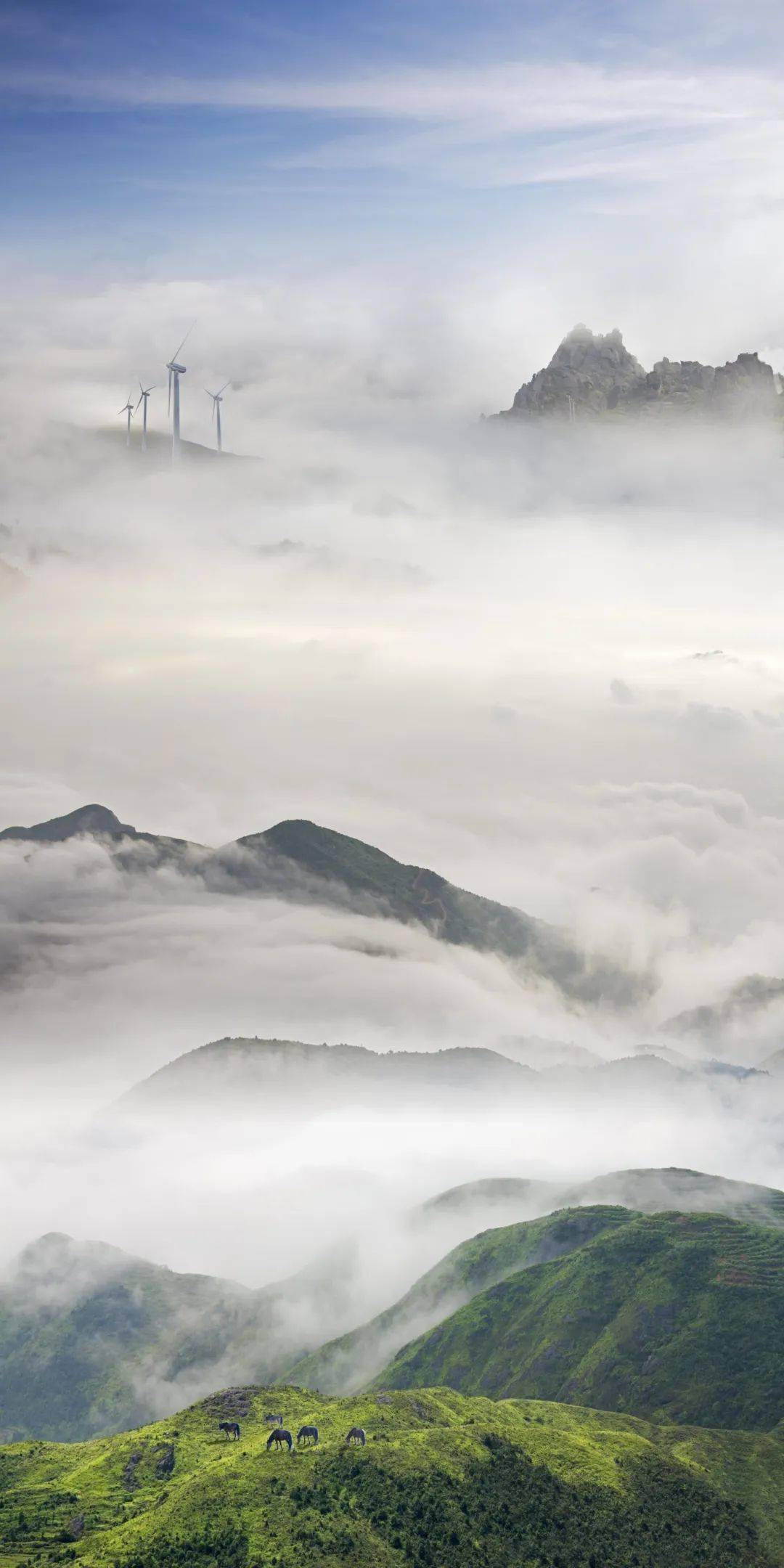 苍南天气(苍南天气预报30天准确率高)