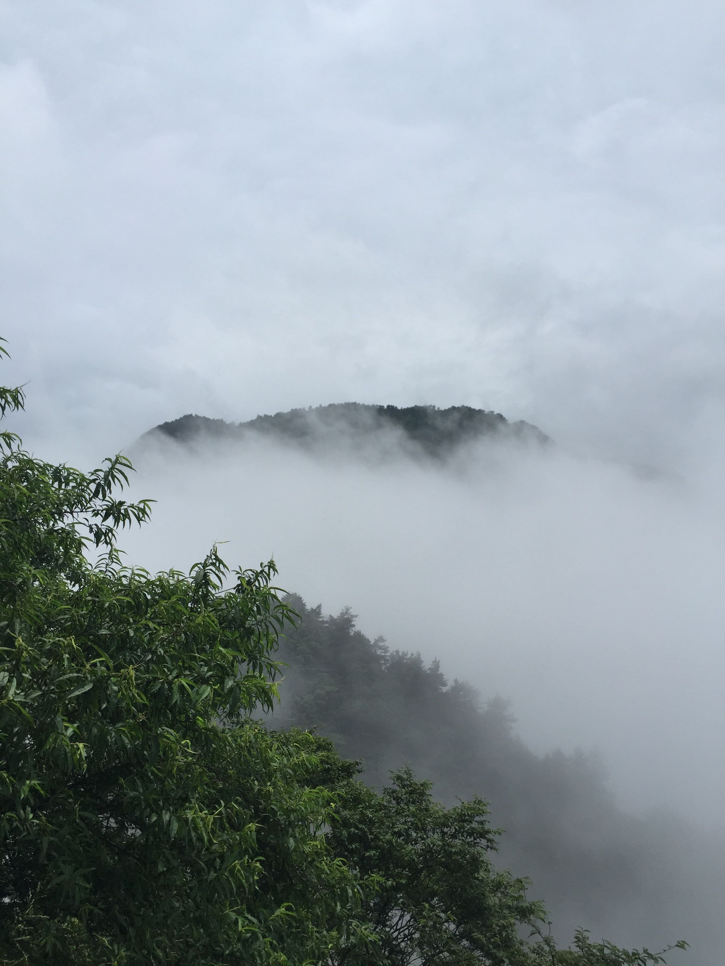 江山市天气预报(浙江江山旅游必去十大景点)