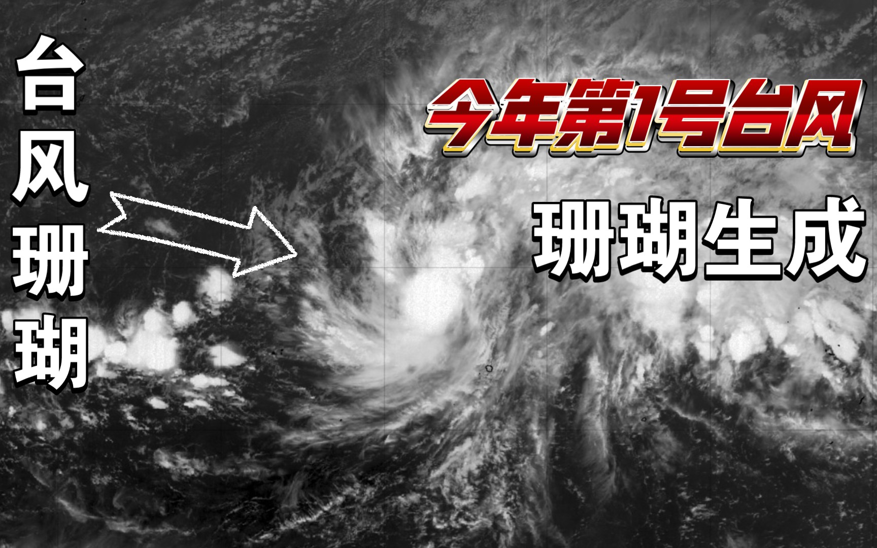 珊瑚台风(珊瑚台风是哪一年的)