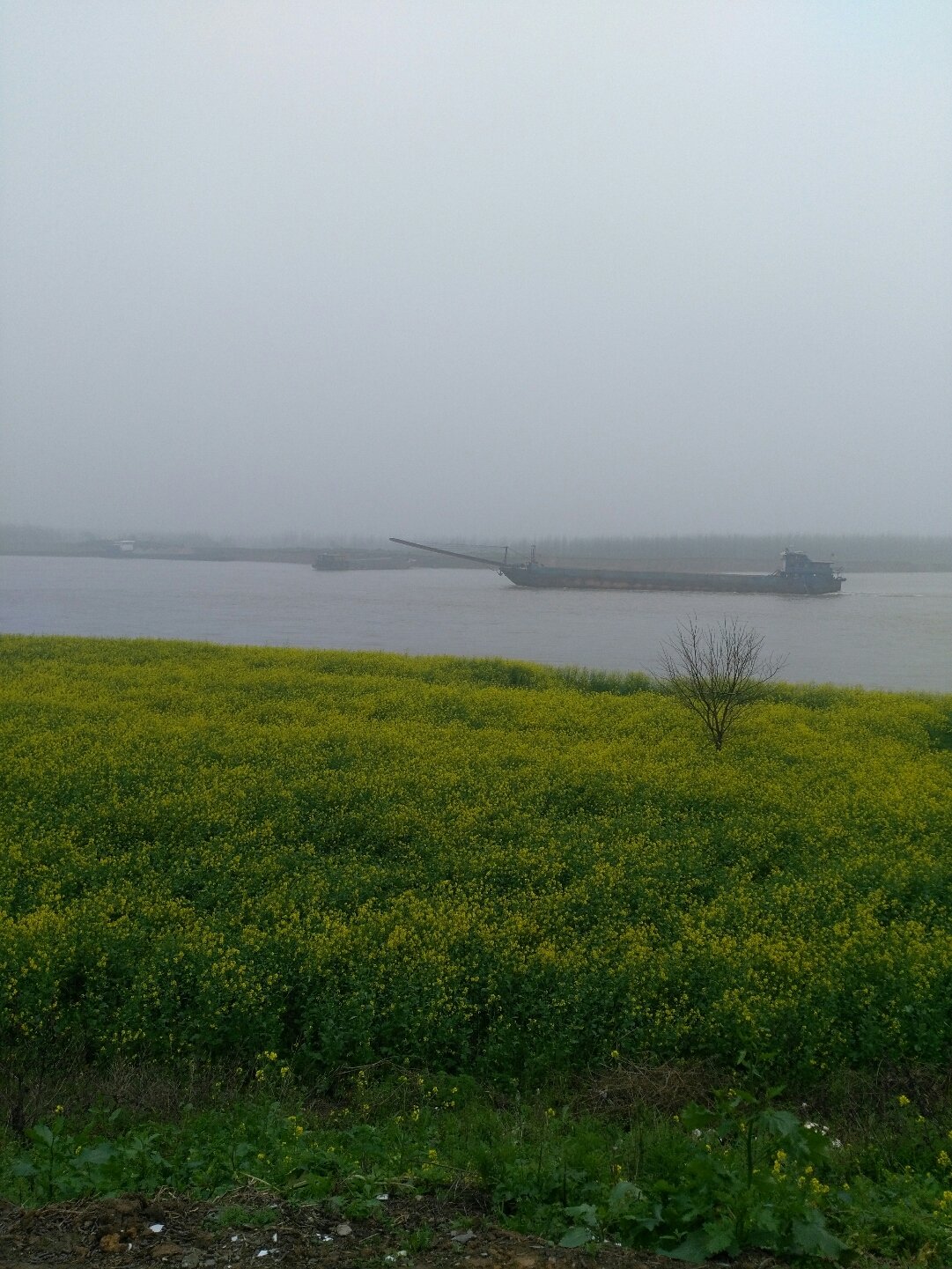 湘阴天气(湘阴县委书记最新任命)