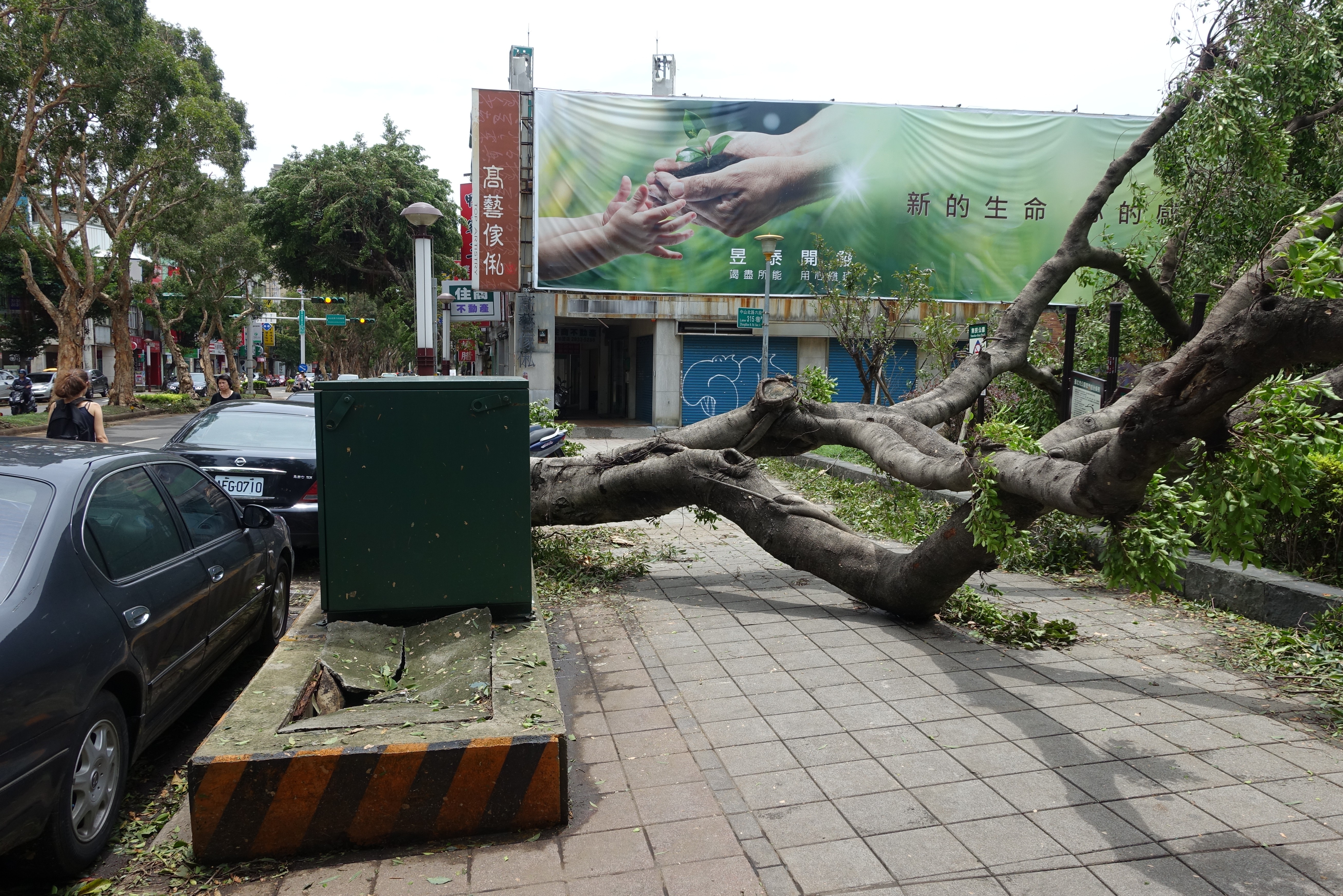 台风苏迪罗(台风苏迪罗路径图)