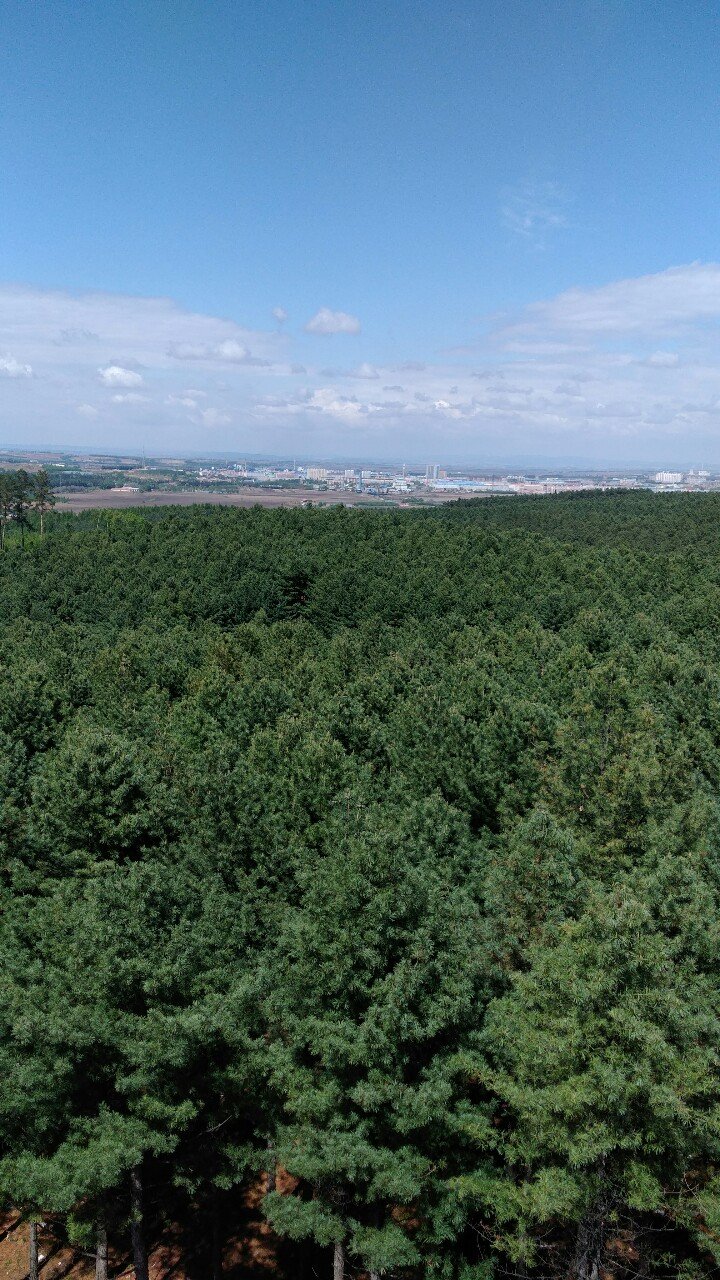 勃利天气(勃利天气预报2345)