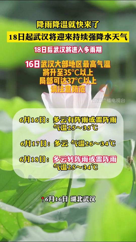 武汉一周天气(武汉今明后三天暴雨)