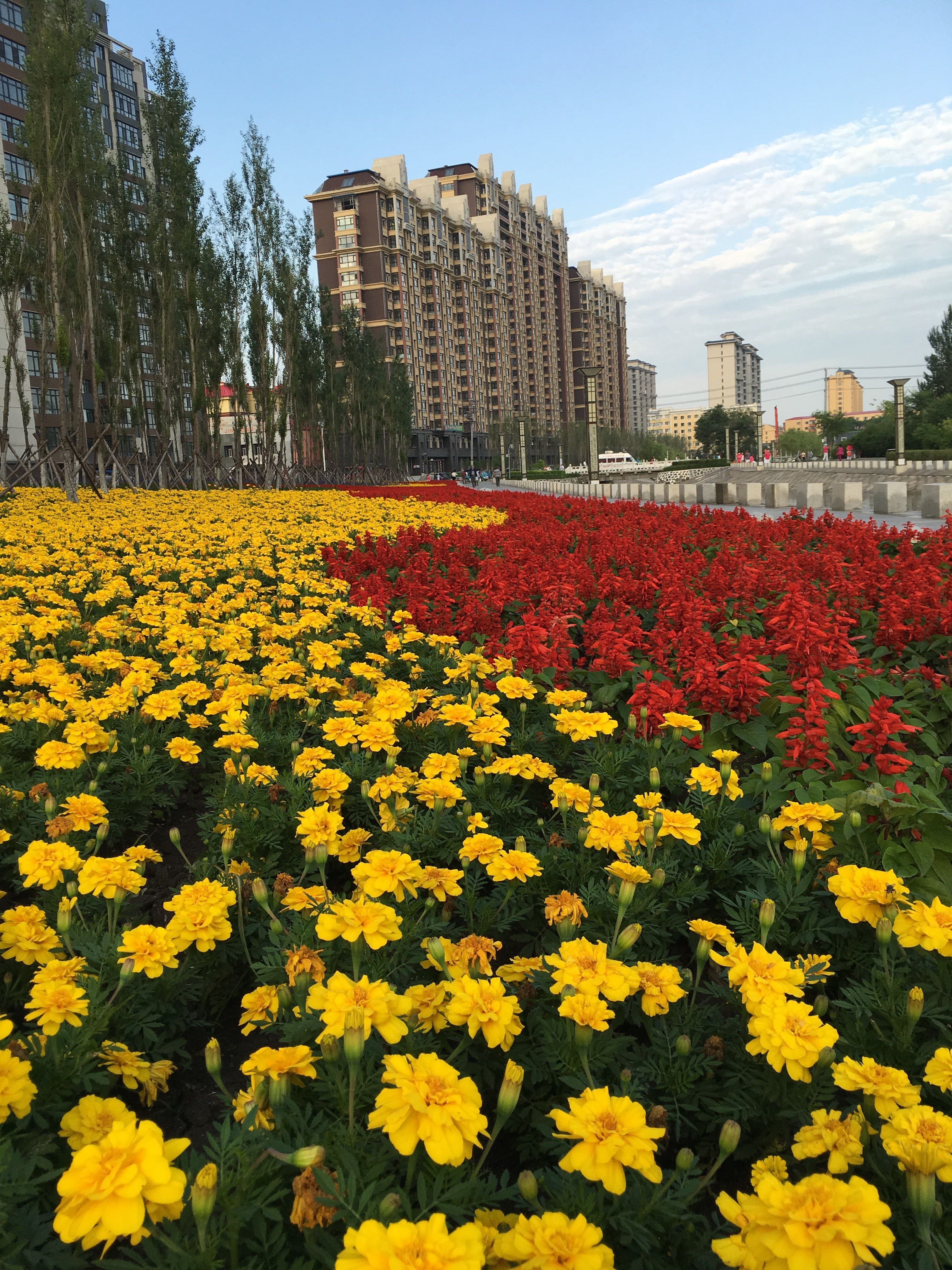 黑河市天气预报(黑河市天气预报24小时)