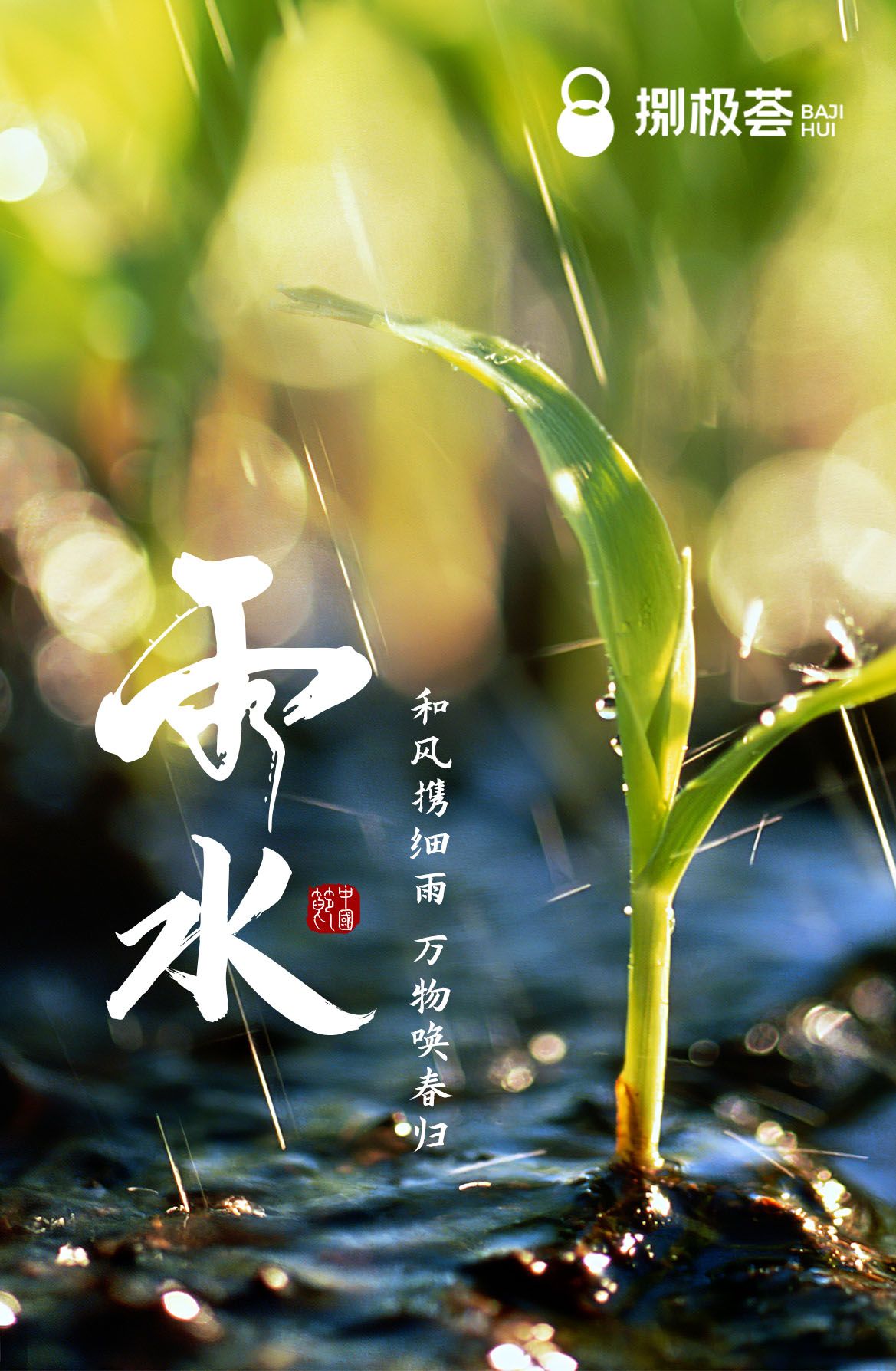 今日雨水(今日雨水节气)