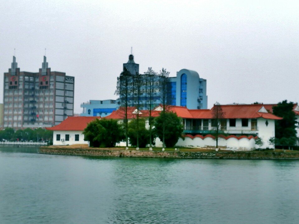 枞阳天气(枞阳最出名的名人)