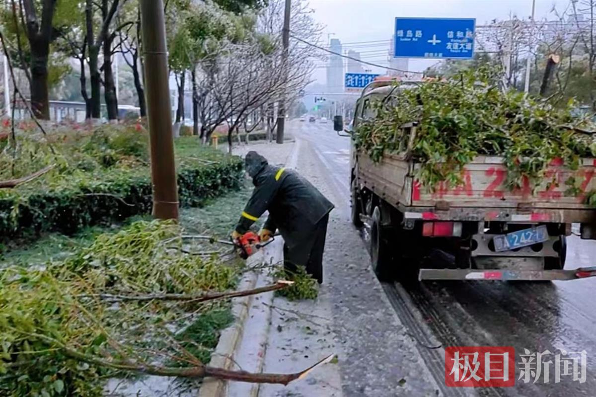 湖北省武汉市洪山区天气(湖北省武汉市洪山区天气预报15天)