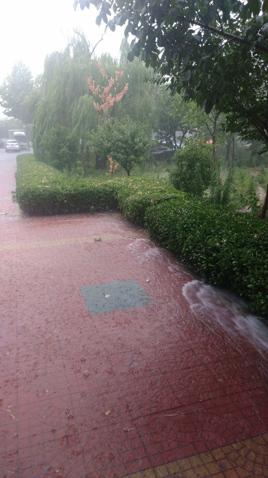 山东省潍坊市天气(山东省潍坊市天气30天)